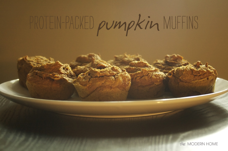 high-protein pumpkin muffins